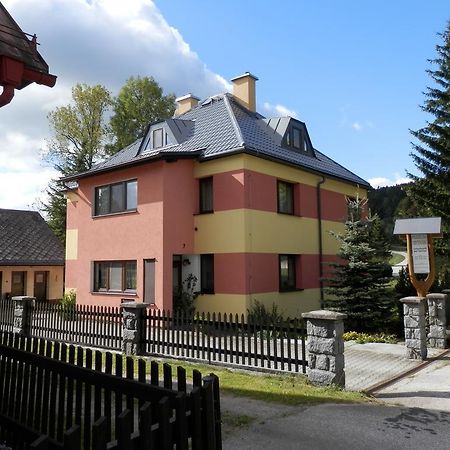 Ubytovani Verner Villa Дестне в Орлицки хора Екстериор снимка