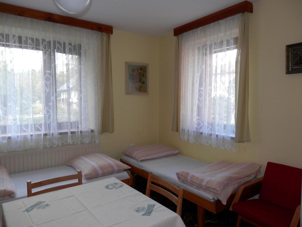 Ubytovani Verner Villa Дестне в Орлицки хора Стая снимка